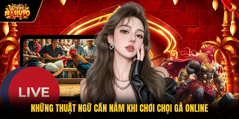 Đá Gà Nohu90 - Tổng Hợp Các Loại Hình Đỉnh Cao Kịch Tính Những thuật ngữ cần nắm khi chơi chọi gà online